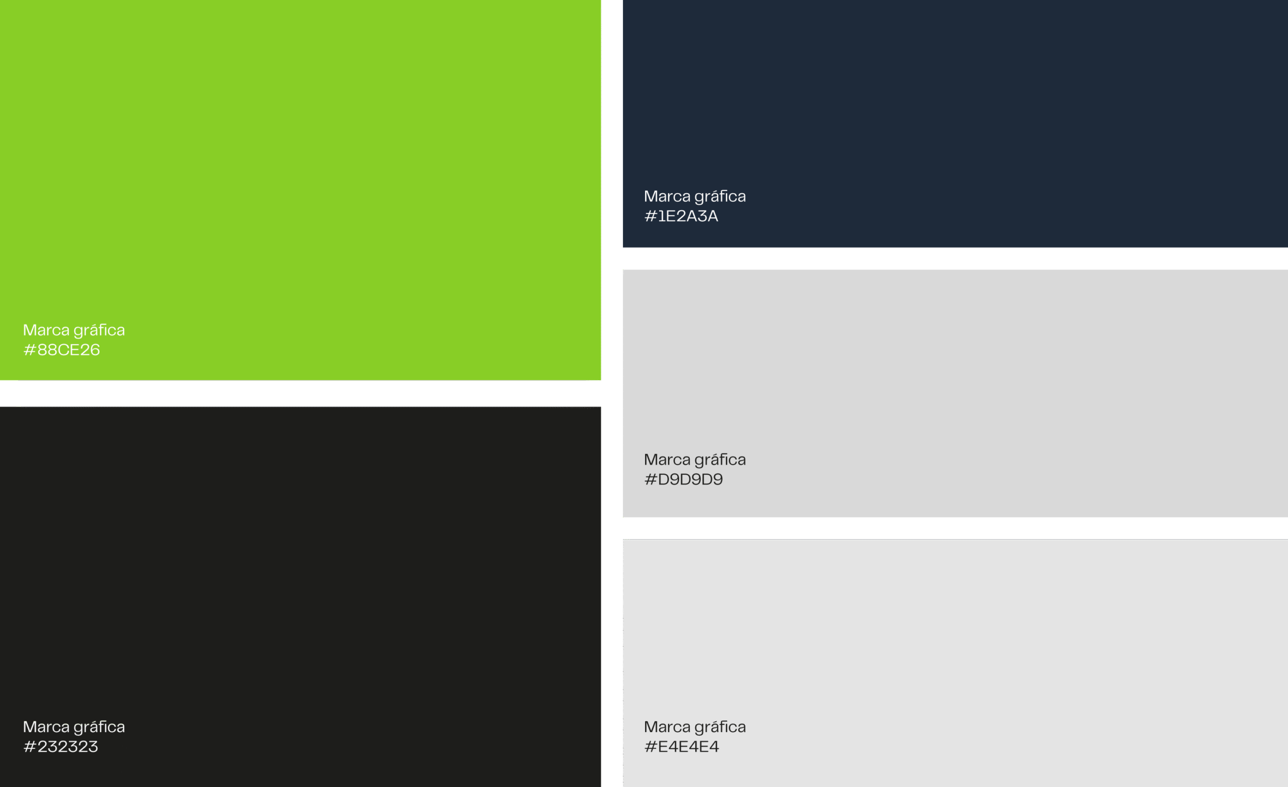 paleta_colores_angelotti
